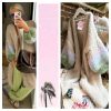 New: ZolaCardie/Coat Brownie - Image 2
